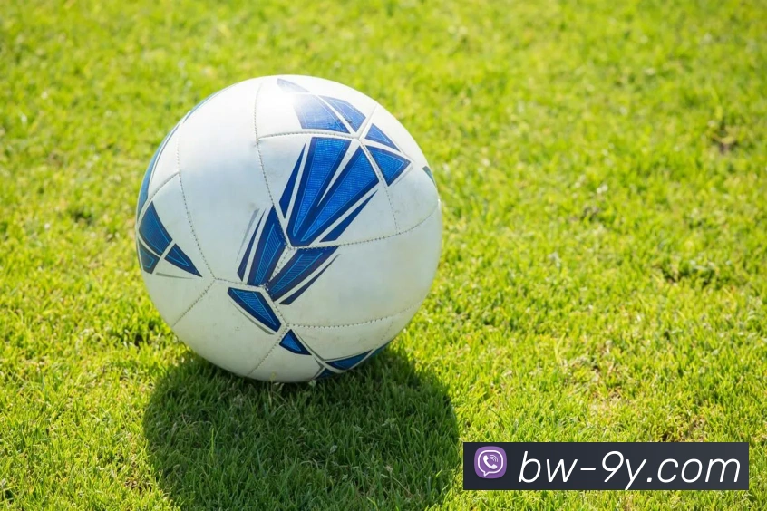 九游官网平台生态图