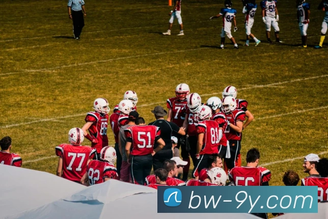 九游官网APP 封面图