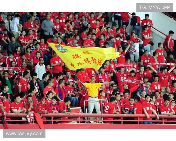 建业足球队历程回顾与发展：从初创到中超挑战的辉煌与困境